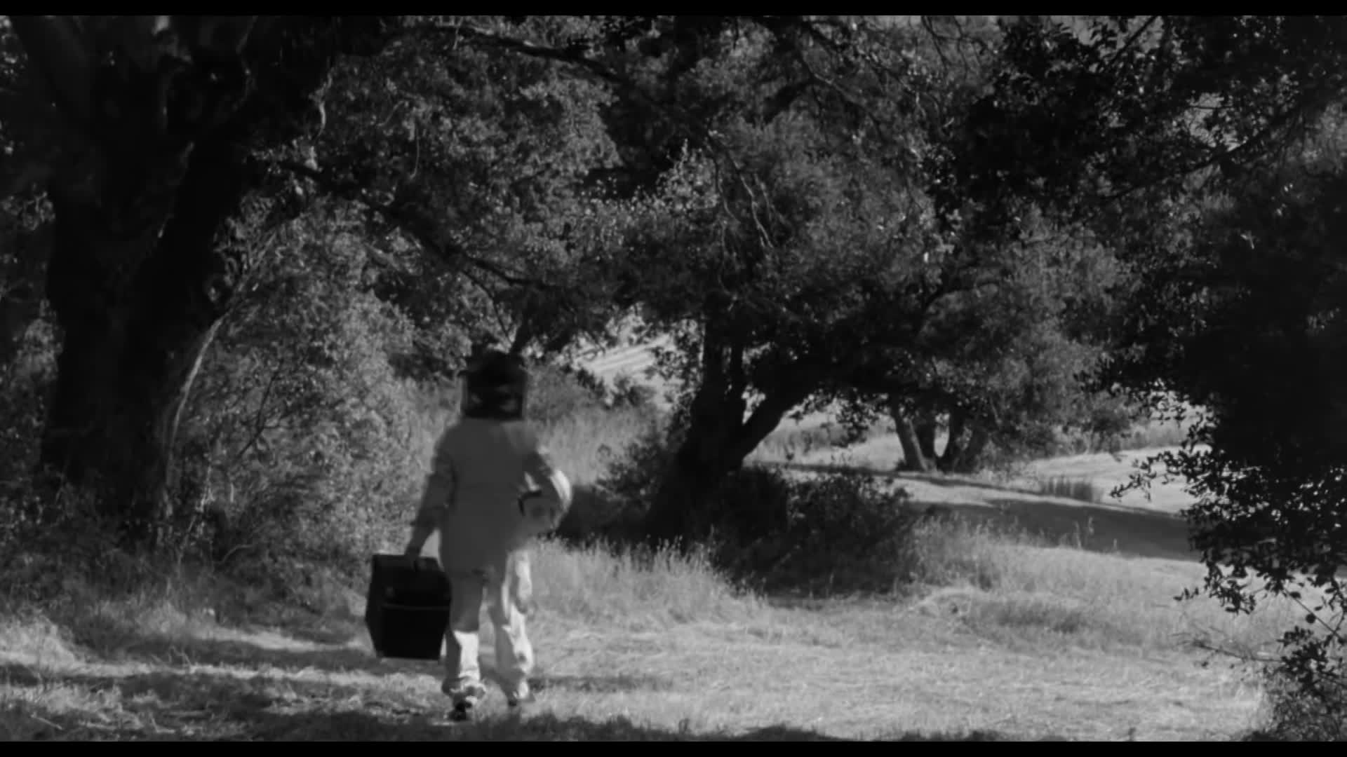 Thumbnail image for The Wasp Woman